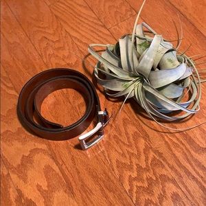 Express leather belt 35